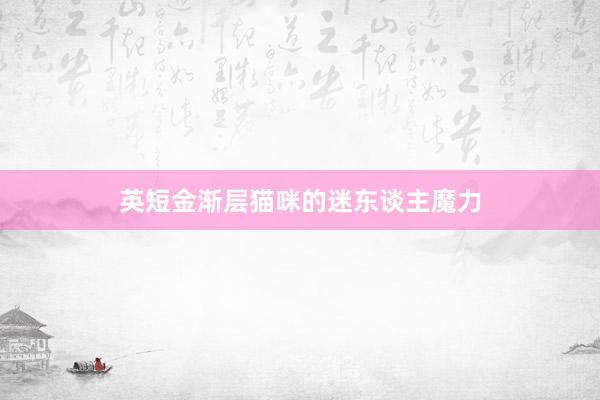 英短金渐层猫咪的迷东谈主魔力